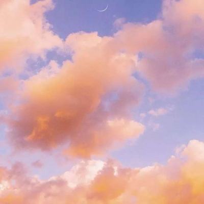 云开·全站APP截图